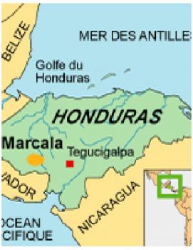 Gebrand Honduras, Washed Arabica, Strictly High Grown European Preparation, Organic, Fairtrade