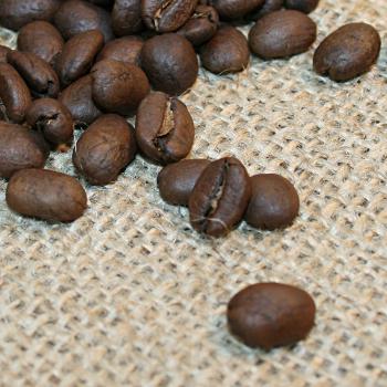 Kaffee Manufaktur Indonesien »Sumatra« Bio