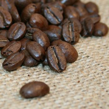 Kaffee Manufaktur Jamaica »Blue Mountain«