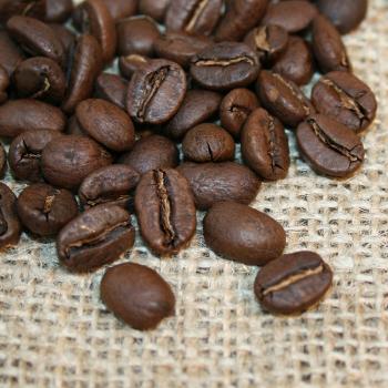 Kaffee Manufaktur Mexiko »La Selva« Bio