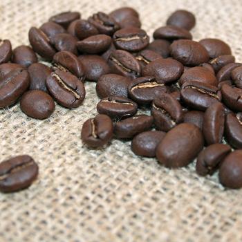 Kaffee Manufaktur Nicaragua »Matagalpa« Bio