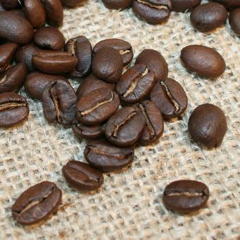 Kaffee Manufaktur Uganda Bio