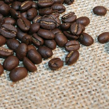 Kaffee Manufaktur Äthiopien Wildkaffee Kafa Forest