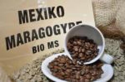 Rösterei Moccafair Moccafair Maragogypes Chiapas Bio